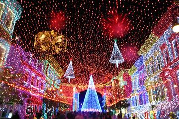 Private New York City Christmas Walking Tour