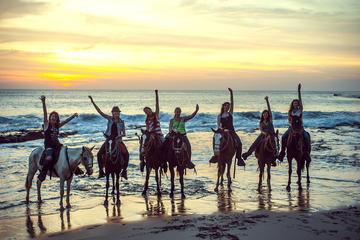 Acapulco Horseback Riding Tour and Baby Turtle Release