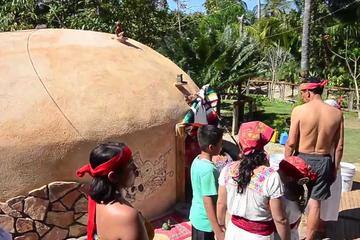 Baby Turtle Release Aztec Religious Mysticism Temazcal Experience and Jungle Coyuca Lagoon Tour