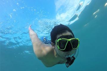 Half-Day Snorkeling Tour with Lunch From Acapulco