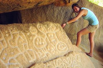 Palma Sola Petroglyphs Archaeological Zone and Municipal Market Tour