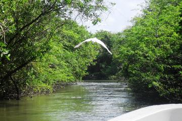 Tres Palos Lagoon, Boat Ride Tour with Lunch from Acapulco