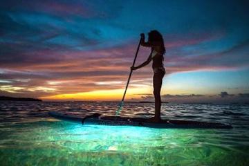 LED Paddleboard Sunset Glow Tour