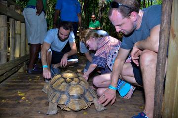 Flora and Fauna of Jamaica Safari from Negril