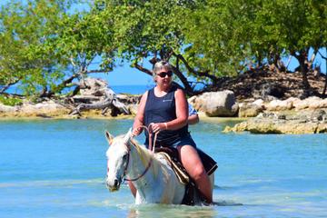Guided 90-minute Negril Horseback Ride and Swim