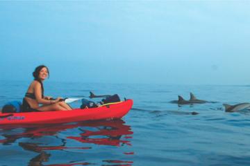 Honolua Kayak and Snorkel Expedition
