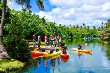 2.5-Hour Small-Group Kayaking Adventure with Lunch