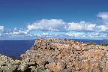 4-Day Tour from Perth Including Margaret River, Valley of the Giants Tree Top Walk and Albany