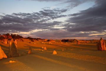 Pinnacles Desert, New Norcia and Wildflowers Day Tour from Perth