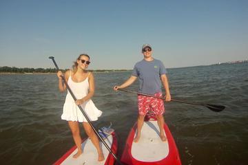 Day Trip Charleston Harbor Stand up Paddleboard Tour near Charleston, South Carolina 