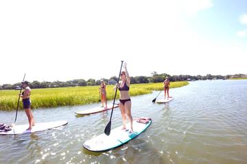 Day Trip Charleston Paddleboard Lessons near Charleston, South Carolina 