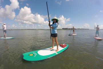 Day Trip Charleston Paddleboard Rentals near Charleston, South Carolina 