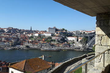 Private Half Day Oporto City Tour