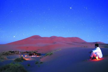 Excursion on camels and Overnight in oasis camp in the desert Erg Chebbi Merzouga Dunes