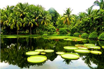 1 Day Xishuangbanna City Tour with Menglun Tropical Botanical Garden