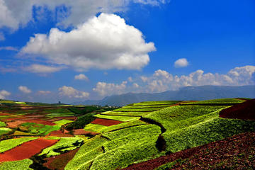 2 Days Kunming Dongchuan Red Land Photography Tour