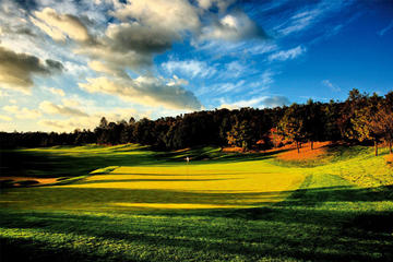 One day play golf in Lakeview Golf club and Dragon Gate Tour