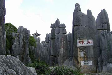 One day private tour to Stone Forest and Guangdu Old Town