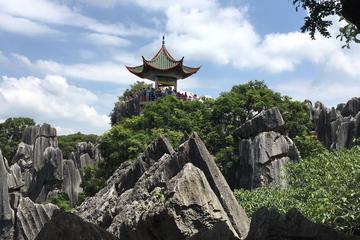 One day Stone Forest and Nuohei Yi Village Tour