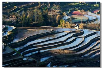 Private 6Days Kunming Yuanyang and Jianshui Tour