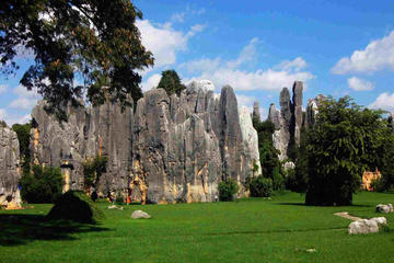 Private Full-Day Stone Forest and Jiuxiang Cave Tour from Kunming