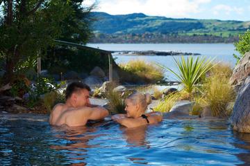Shore Excursion: Rotorua's Polynesian Spa Heaven from Tauranga