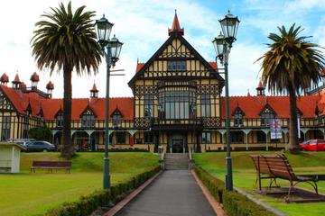 Shore Excursion: Rotorua Sightseeing Tour from Tauranga
