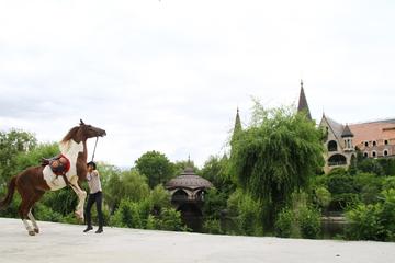 Horse Riding Experience at Ravadinovo Castle