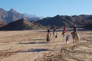 Bedouin BBQ in the Egyptian Desert by 4x4