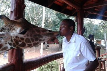 Nairobi Private Small-Group Guided Tour