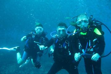 Half-day Scuba Diving Tour in the Catalina Islands of Costa Rica