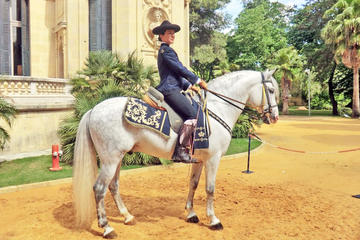 From Seville: Jerez Day Trip with Horse Show & Sherry Winery