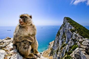 Gibraltar and Bolonia Day Trip from Jerez