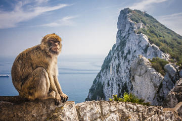Gibraltar and Vejer Day Trip from Jerez