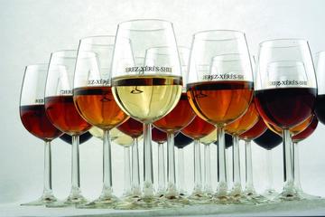 Jerez Day Trip From Cadiz & Sherry Winery