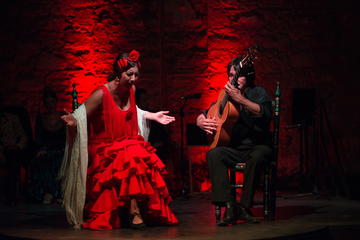 Jerez Flamenco Day Trip from Cádiz