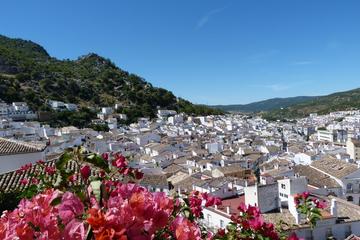 Private Day Trip from Málaga: The White Towns of Andalusia