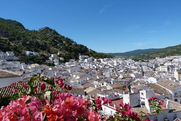 Private Day Trip from Seville: The White Towns of Andalusia