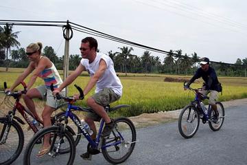 Mekong Rice Farm Cycling Day Trip from Ho Chi Minh City