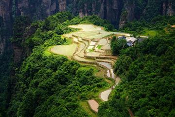 Private Day Trip to Zhangjiajie national park (hidden beauty-Less traveller Routes )