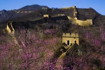 Full-day Tiananmen Square, Forbidden City, and Mutianyu Great Wall from Beijing