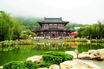 One day Xian city Classic private tour