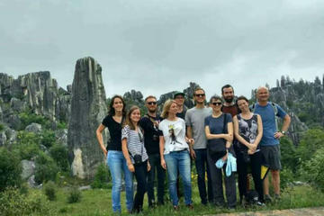 Private Tour: Stone Forest and Flower Birds Market with Lunch