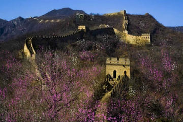 Six days condensed tour from Beijing to Kunming by High speed train