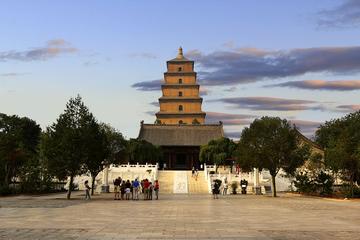 Xian One day highlights private tour