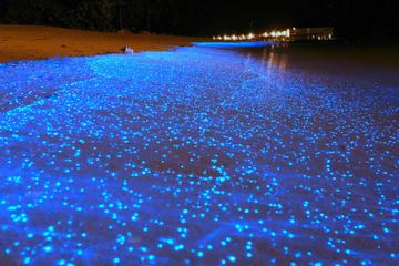 Bioluminescent Lagoon Boat Ride and Swim from Puerto Escondido