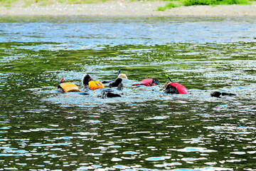 Day Trip Snorkeling, Hiking and Paddling Combo Package in Matapedia Rivers near Gasp 