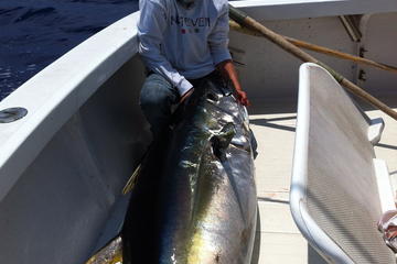 Fishing for Marlin and Tuna