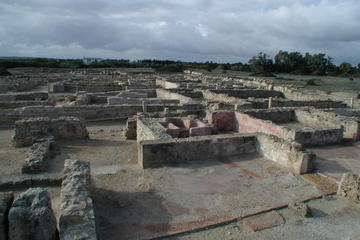 Cap Bon Guided Day Tour from Tunis