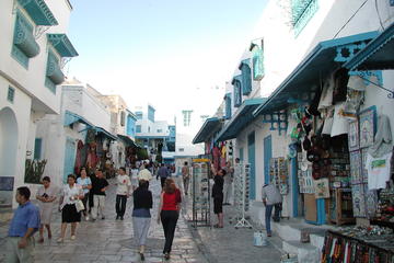 Carthage and Sidi Bou Said Half-Day Guided Tour from Tunis